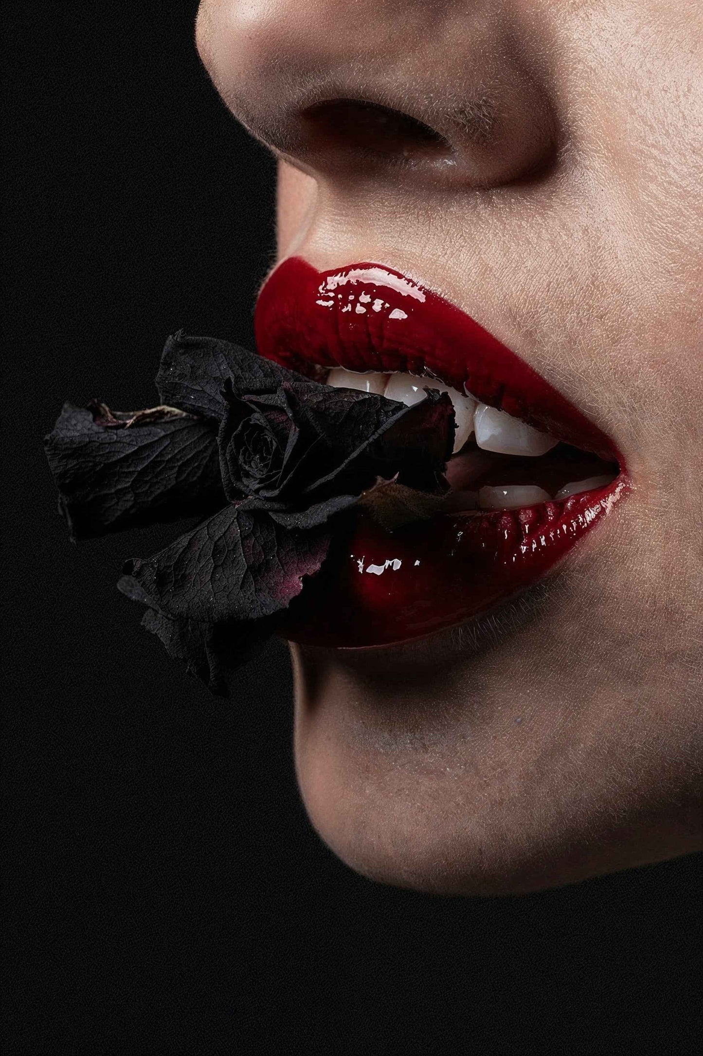 Crimson Silence - Fine Art Print