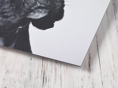 Aluminium Metal Print